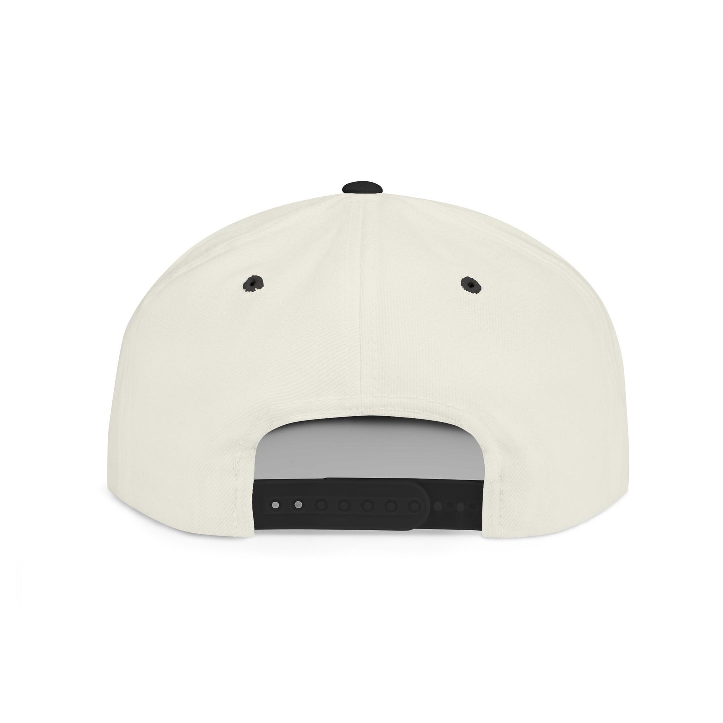 Voltix Snapback !