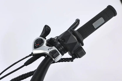 Close-up of GhostCat F4X Pro electric bike handlebars with throttle and control display.
