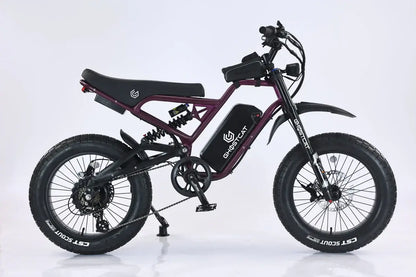GhostCat F4X Pro all-terrain fat tire electric bike with 60V battery, lightweight design, and sleek style.