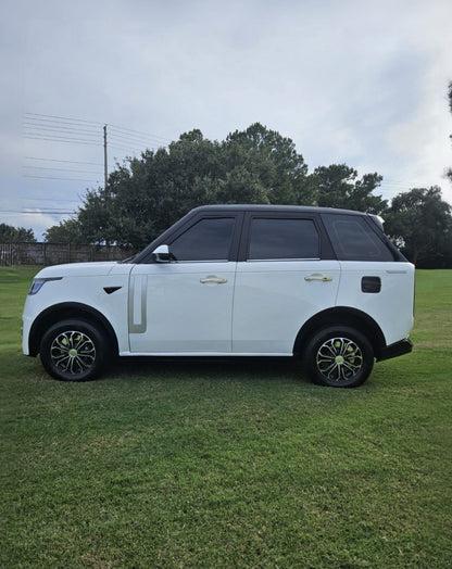 Mini Range Rover Golf Cart